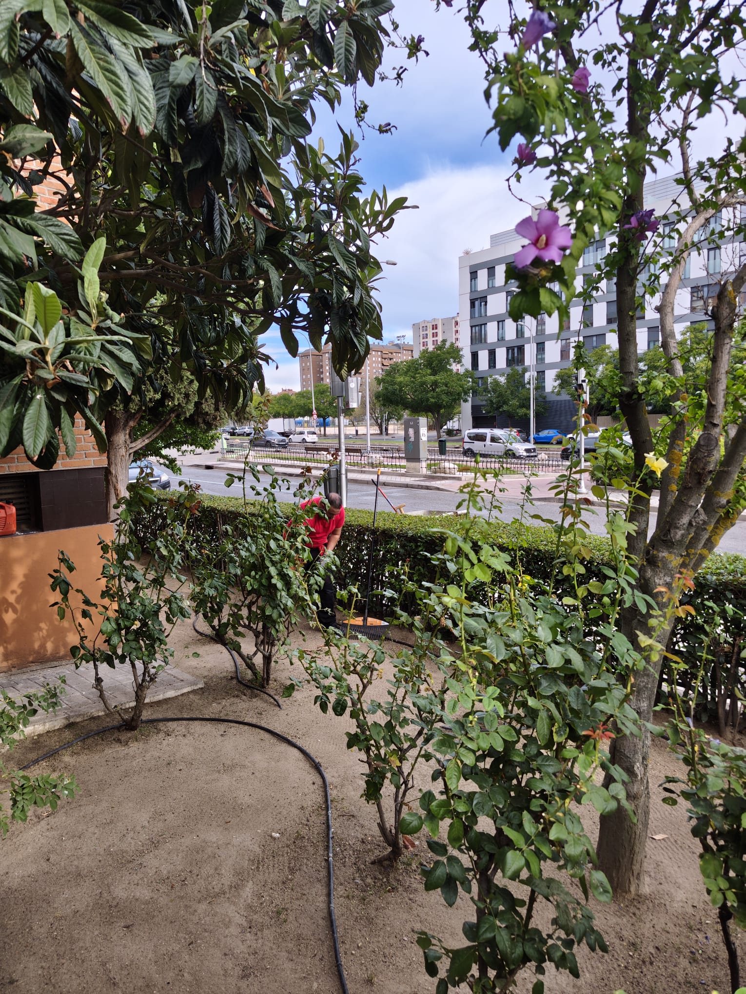 Persona trabajando en un jardín