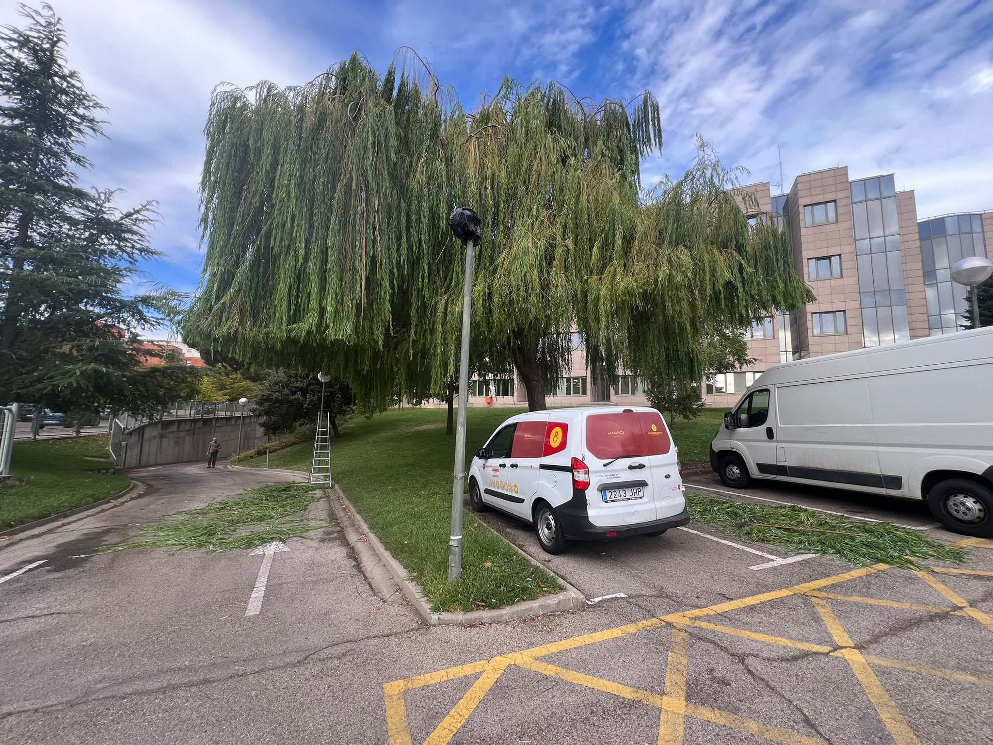 Labores de cuidado y conservación de un jardín