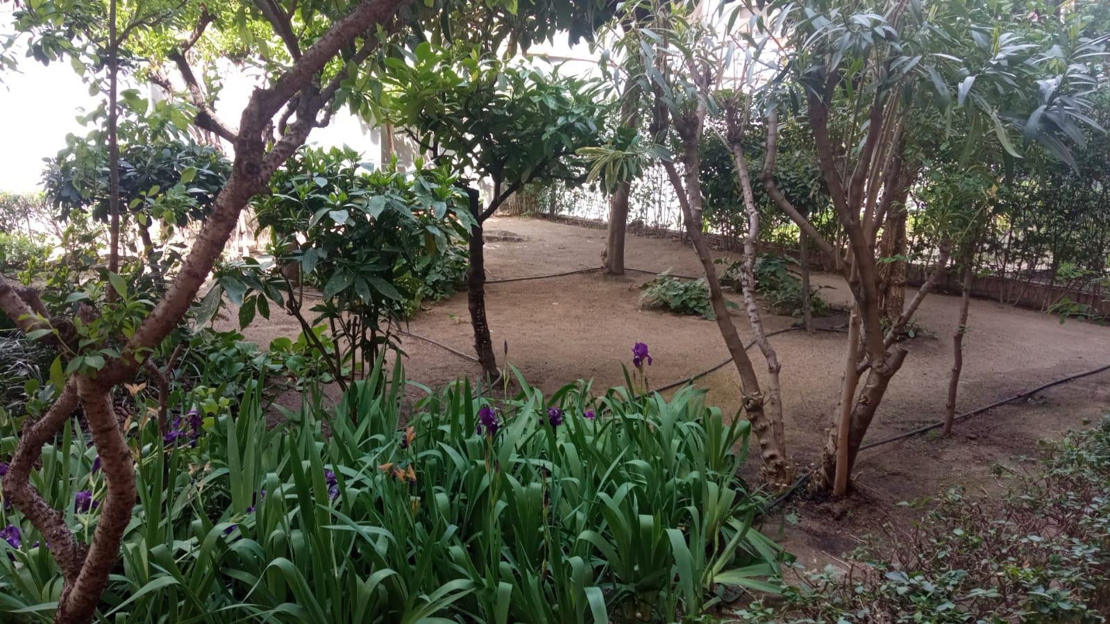 Jardín Antonio Machado